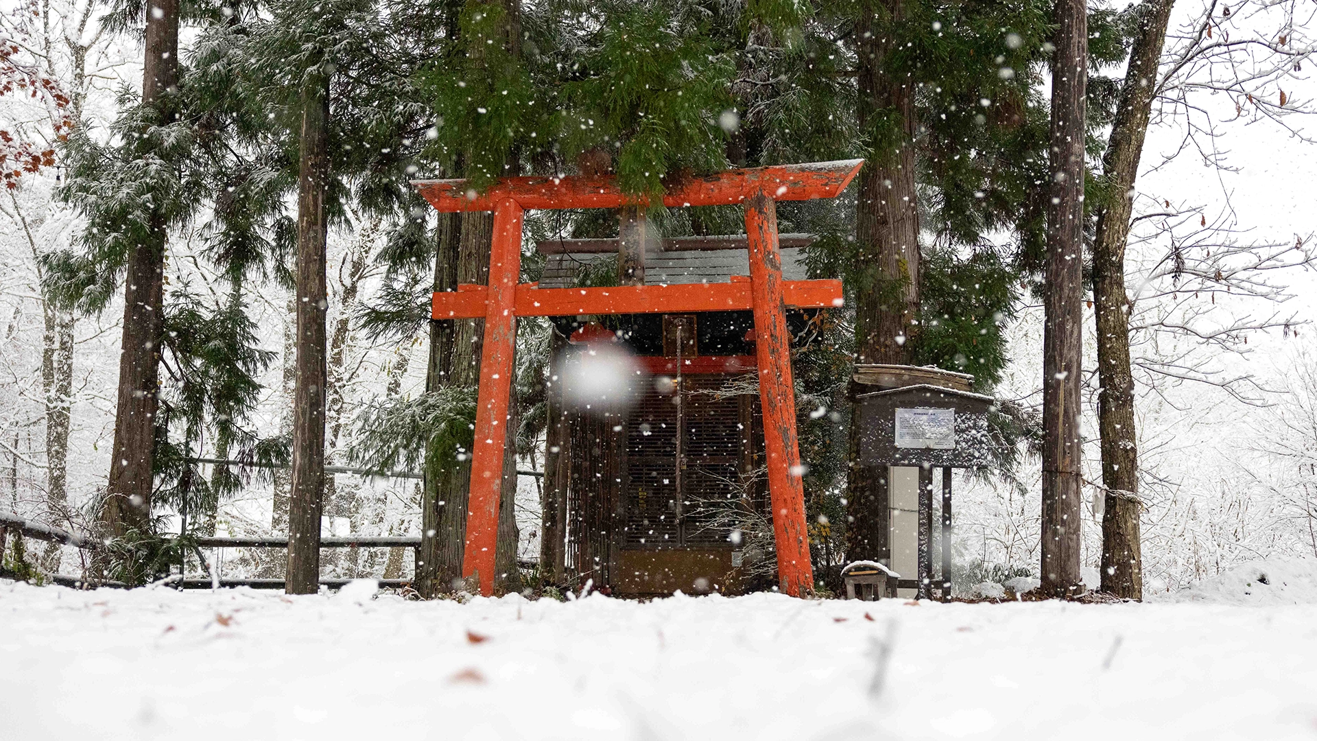 hakubatemple.webp