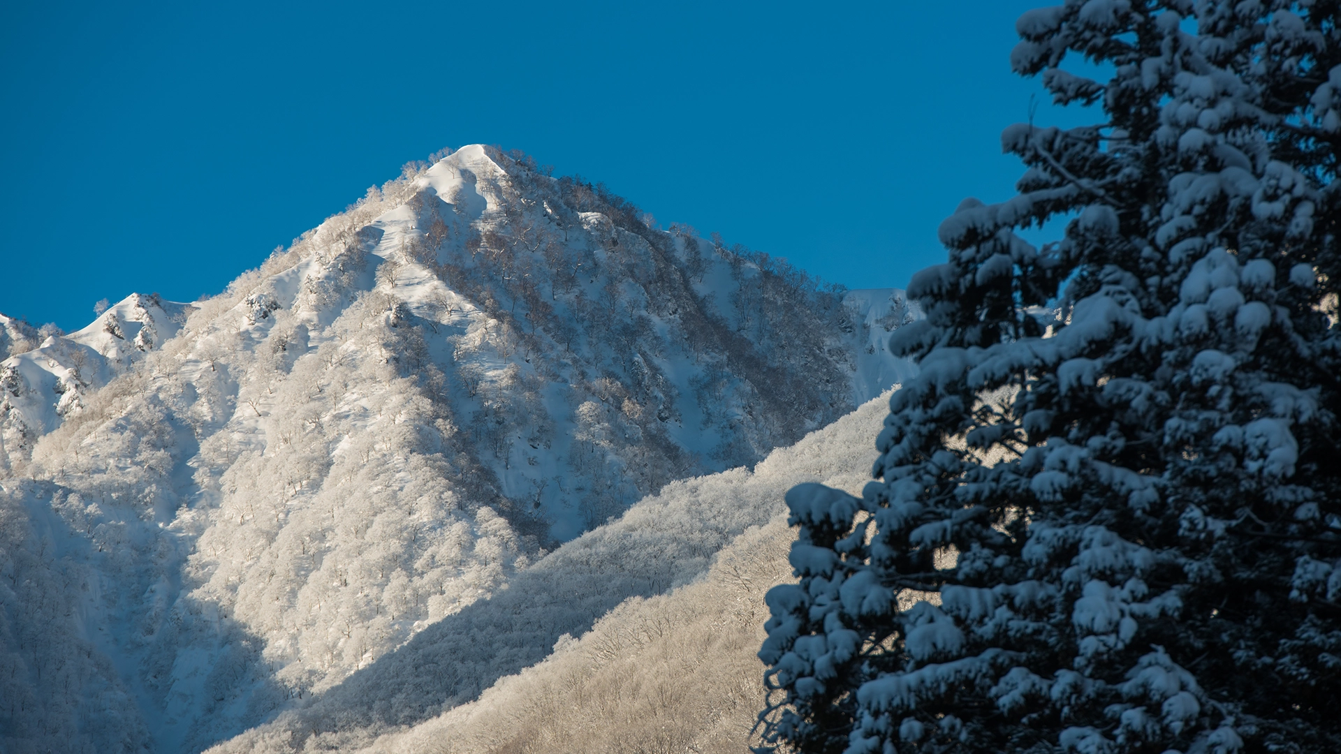 hakuba.webp