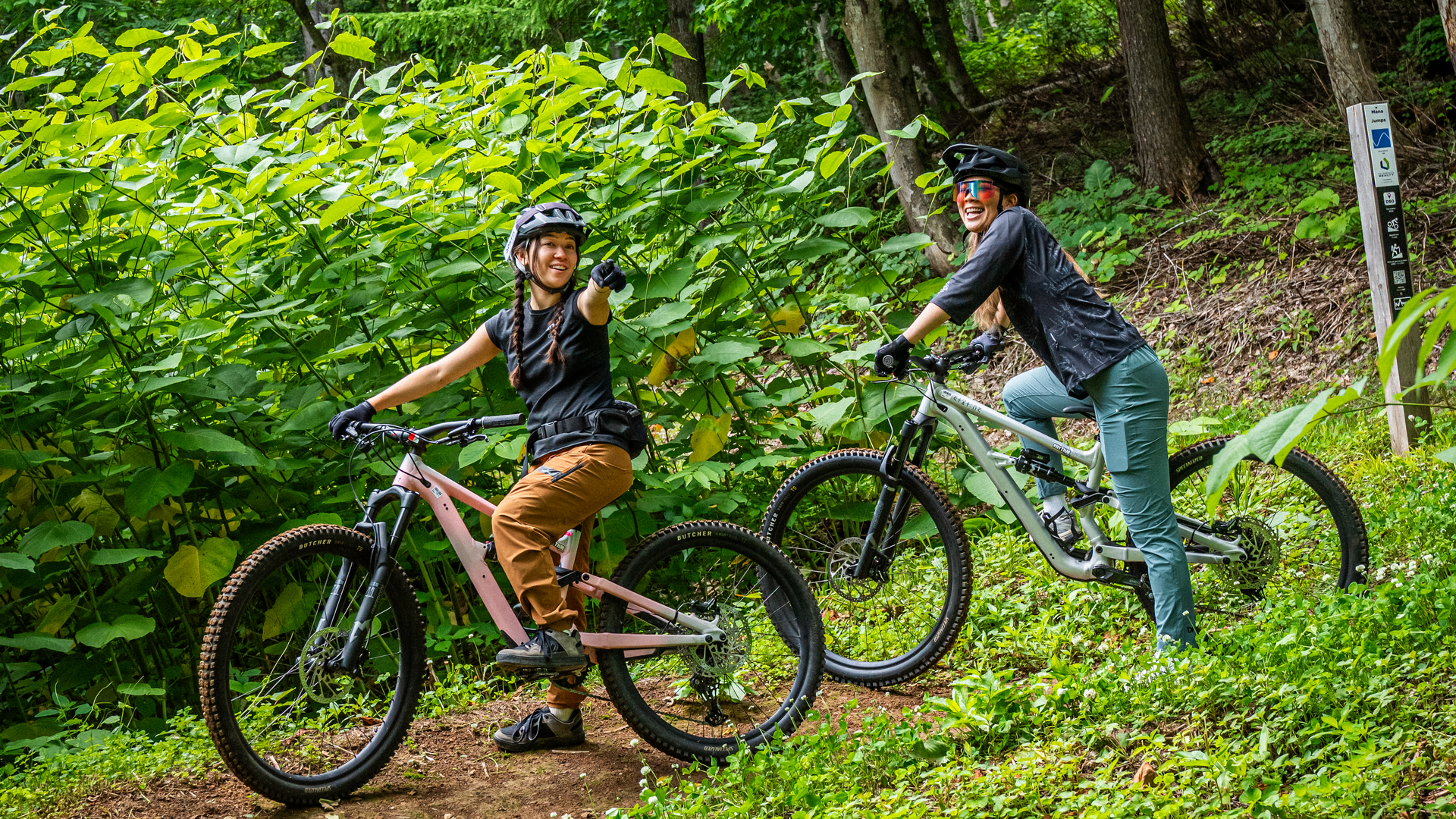 DSC08792-1920x1080-cf0855d.png