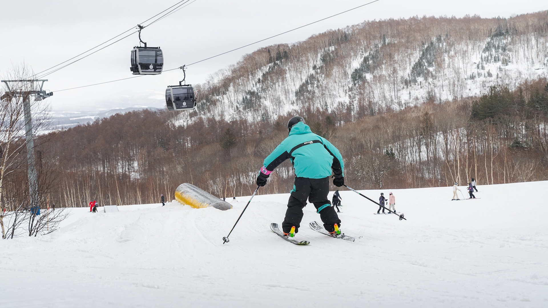 bodee.webp bodee.webp