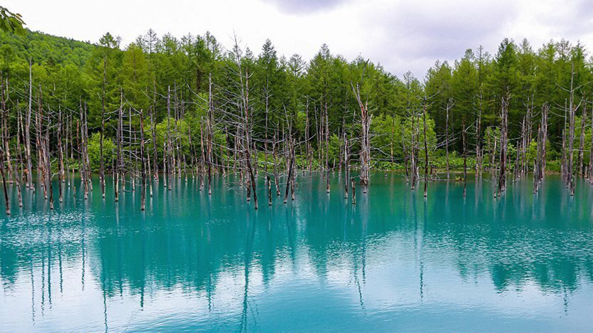 blue.webp blue.webp