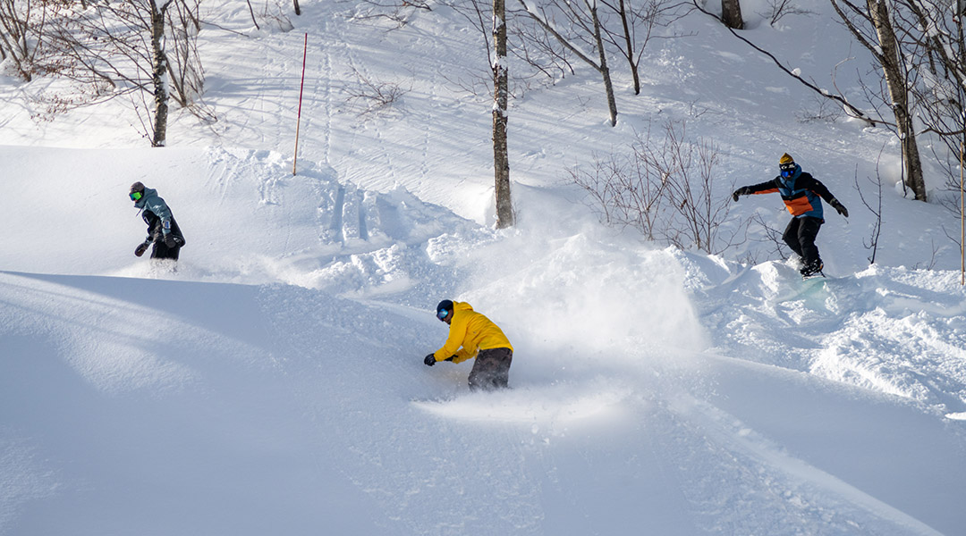 24-25 THE DAY HAKUBA Alps 新品 THE DAY.HAKUBA Alps モデル 157cm | NINJA × THE DAY
