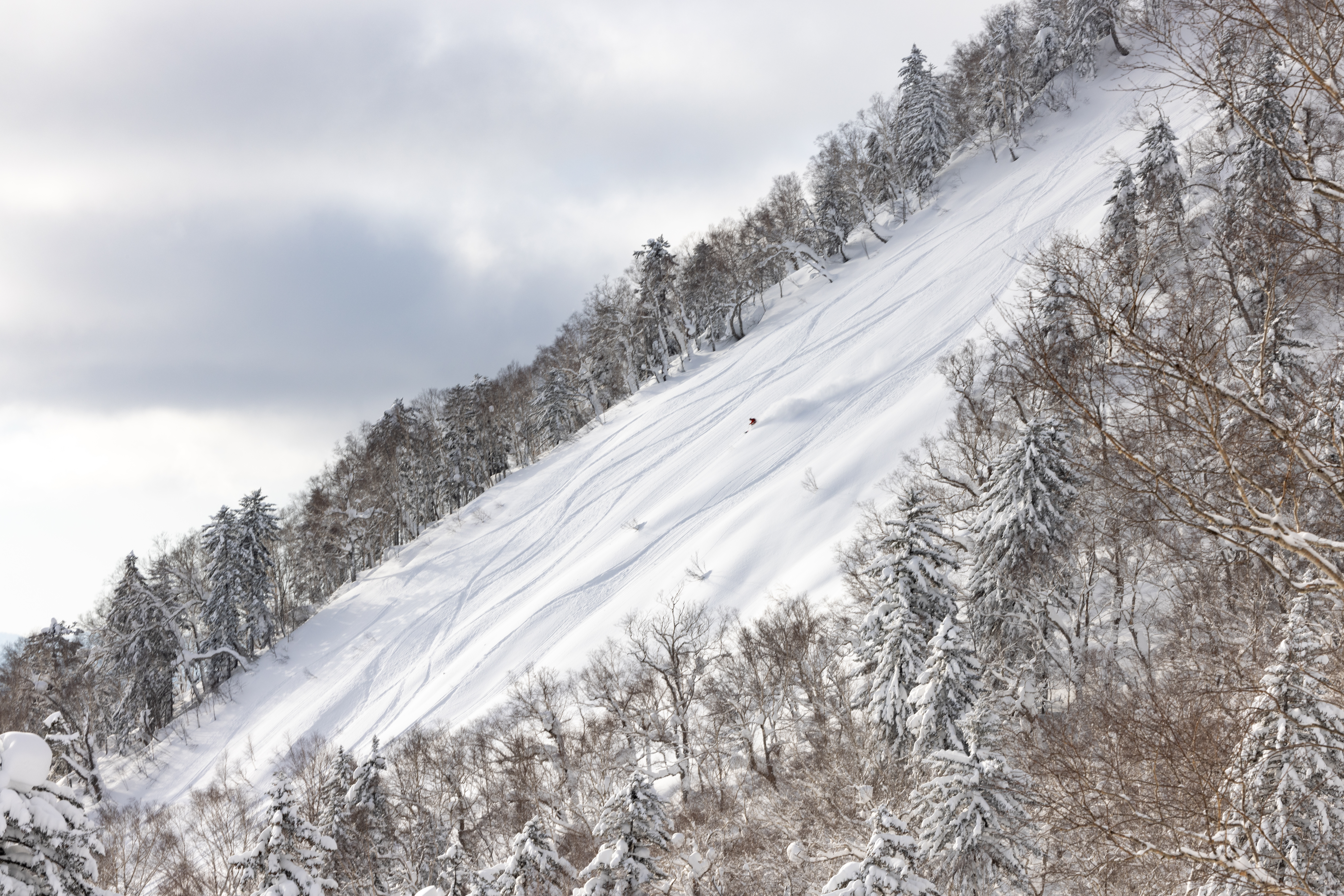 Furano_EvoTrip1_IP-2128.jpg