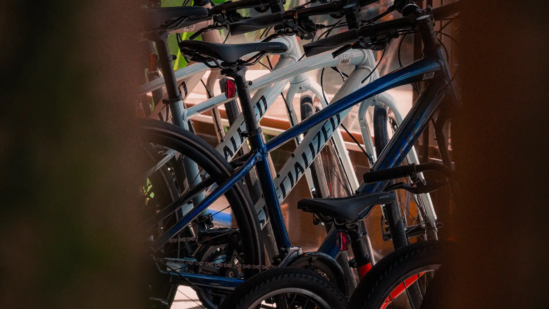 bikes-(1).webp bikes-(1).webp