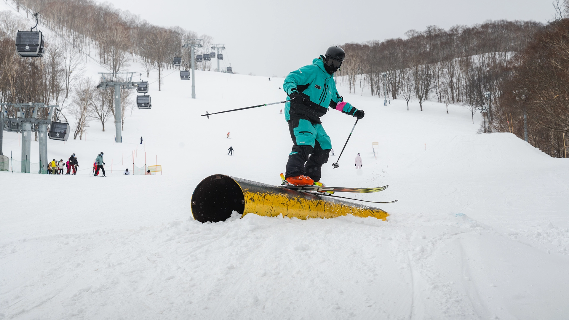 bode1.webp bode1.webp