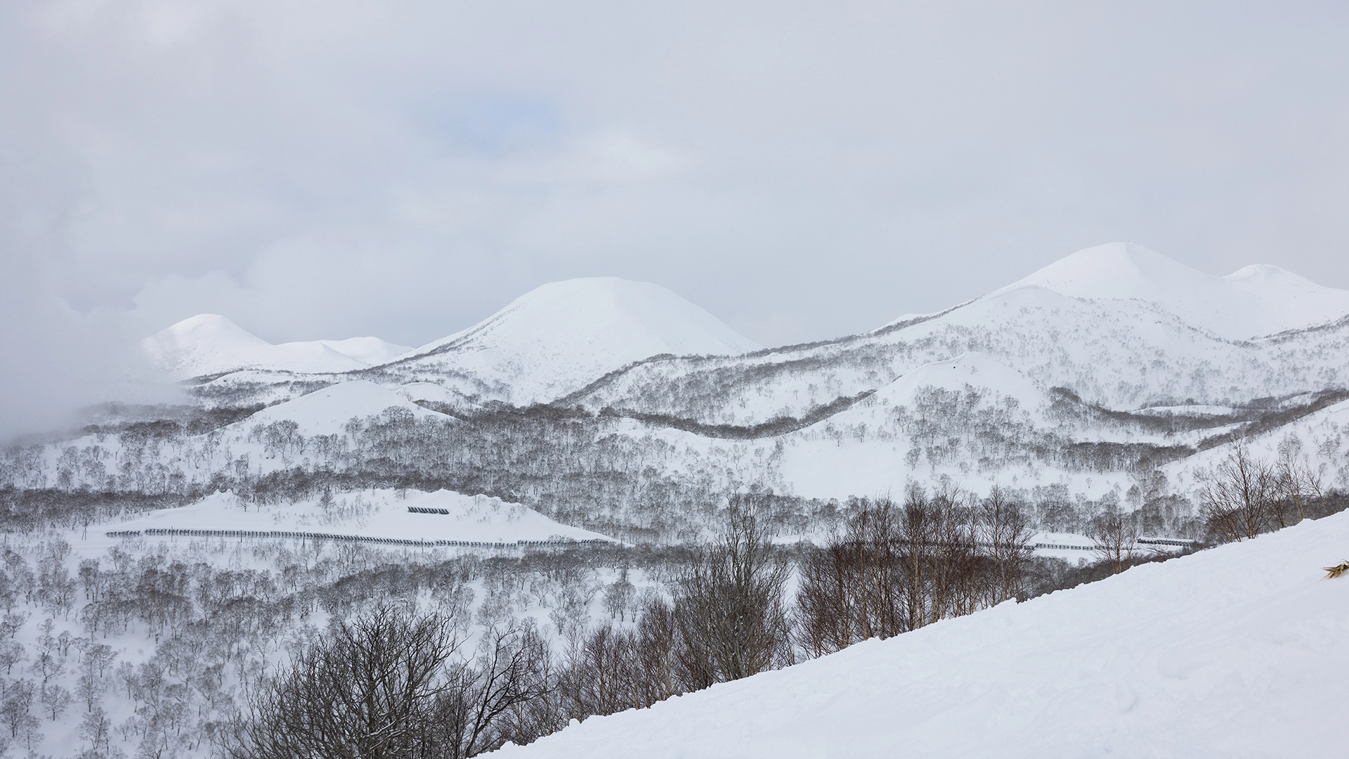 moiwa-(1).webp moiwa-(1).webp