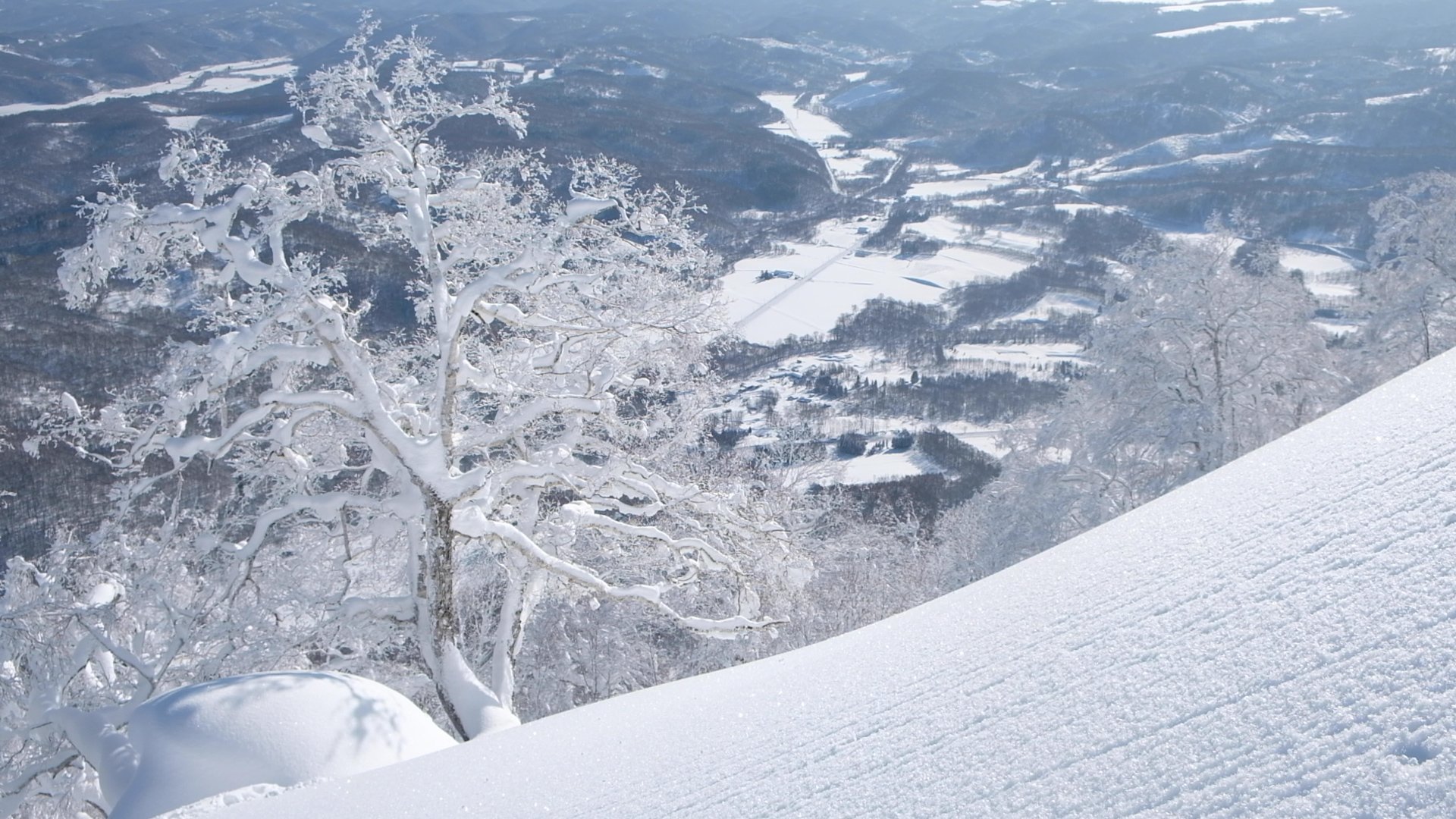 Furano_ski_resort_daisetsuzan_hokkaido.jpg Furano_ski_resort_daisetsuzan_hokkaido.jpg